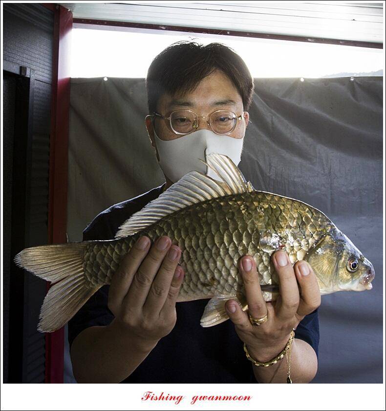 솔 4 짜 대물 및 꽃바위 2 kg 대물 장어 조황 (조황조행기 - 특파원조황)