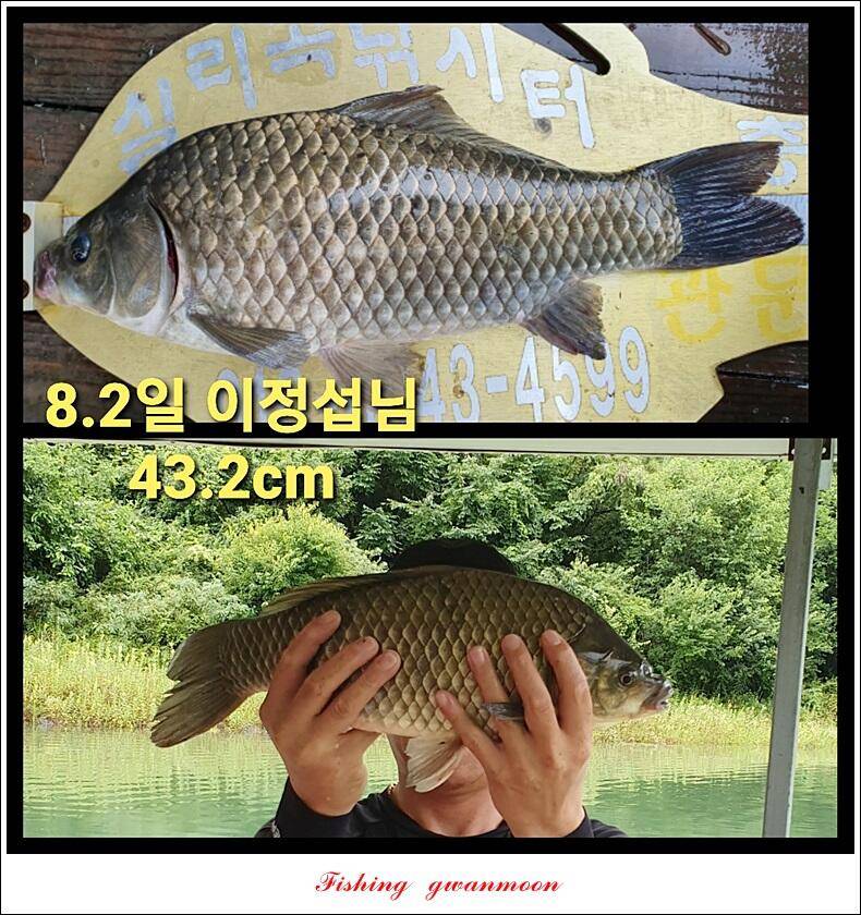 실리곡 44 cm41 cm40 cm돌감 40 cm사짜 조황 및 이벤트 시상 (조황조행기 - 특파원조황)