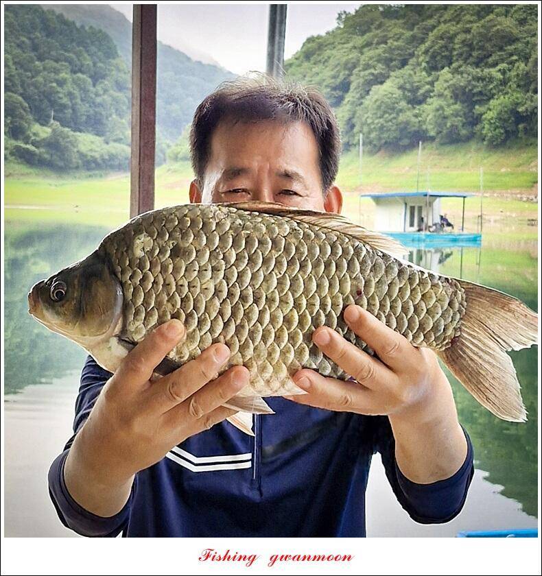 사오리 445 cm41 cm 대물 조황 (조황조행기 - 특파원조황)