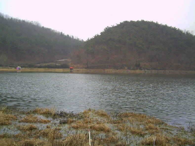 밀구지의 월척조황 (조황조행기 - 특파원조황)