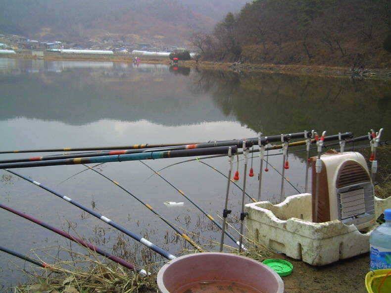 밀구지의 월척조황 (조황조행기 - 특파원조황)