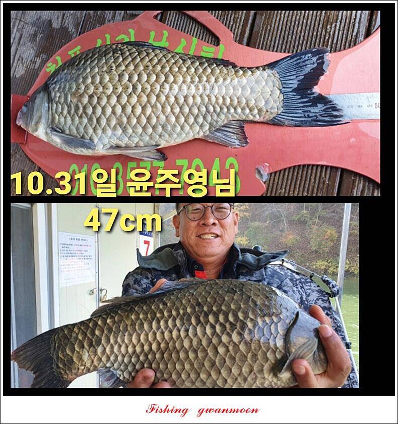 실리곡 44 cm41 cm40 cm돌감 40 cm사짜 조황 및 이벤트 시상 (조황조행기 - 특파원조황)