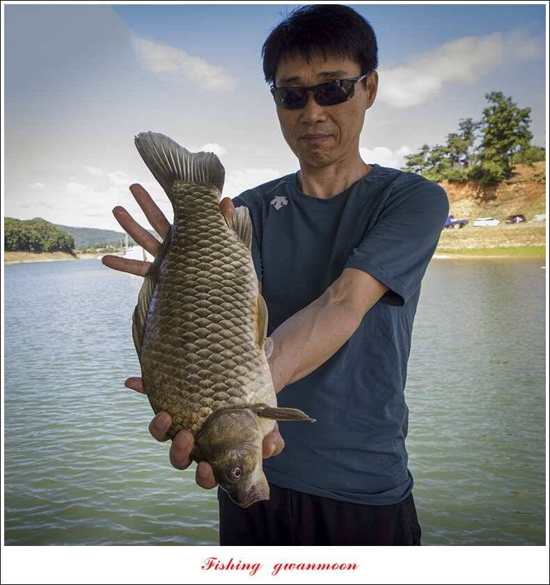 신리 46cm41cm병호 41cm돌감 40 cm (조황조행기 - 특파원조황)