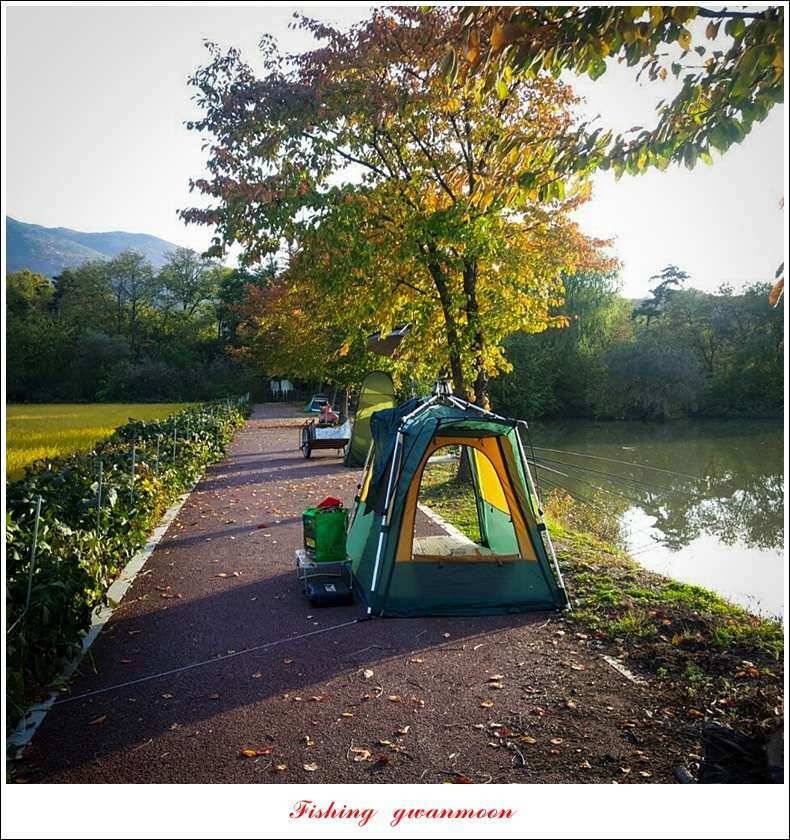 칠성지 사짜 2 수실리곡 마릿수 월척 조황 (조황조행기 - 특파원조황)