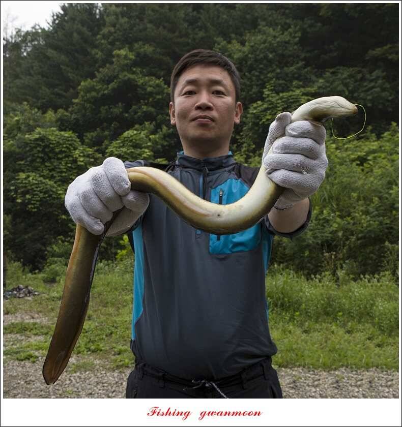 충주호 오름수위 대박 조황 (조황조행기 - 특파원조황)