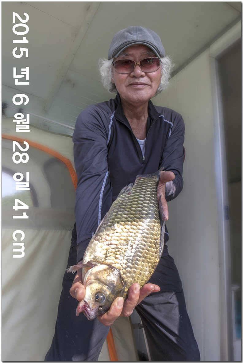 신매 낚시터 43 cm 대물 (조황조행기 - 특파원조황)