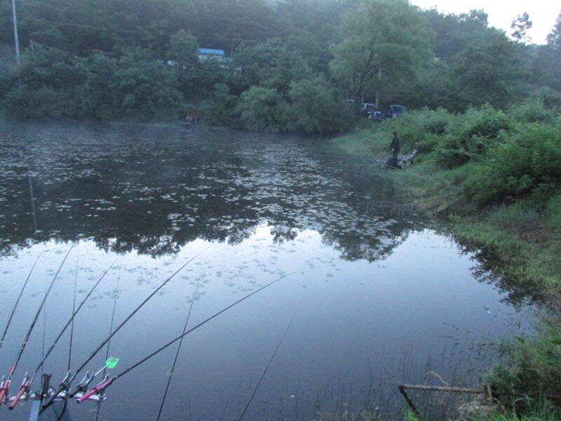 6월 2주차 조황 입니다 (조황조행기 - 특파원조황)