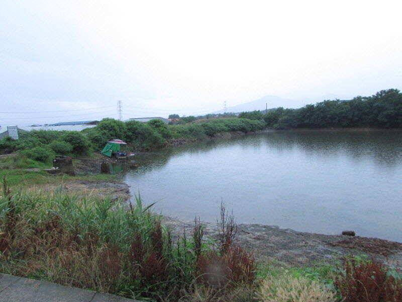 6월 3째주 조황입니다 (조황조행기 - 특파원조황)