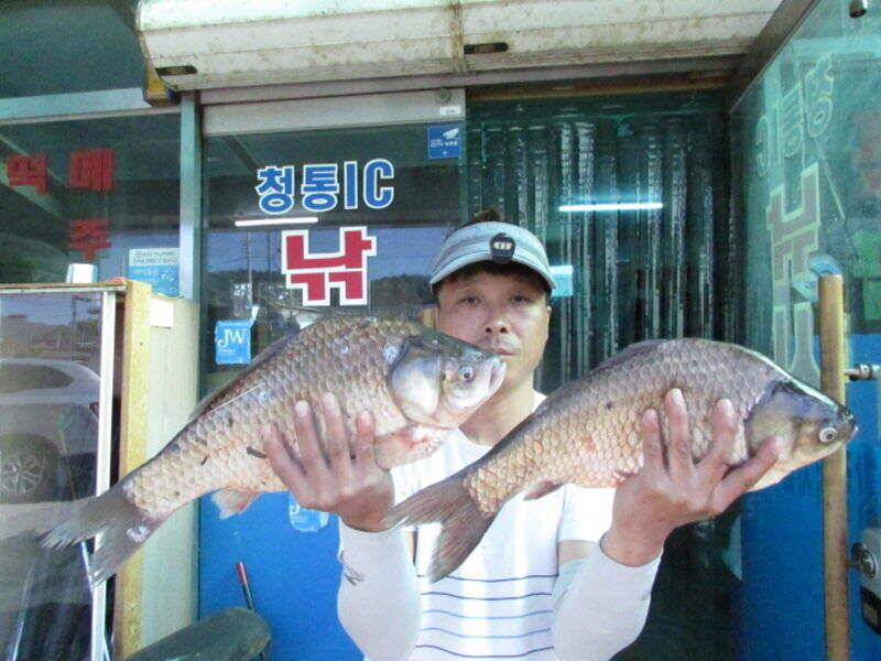 11월 첫주 조황소식입니다 (조황조행기 - 특파원조황)