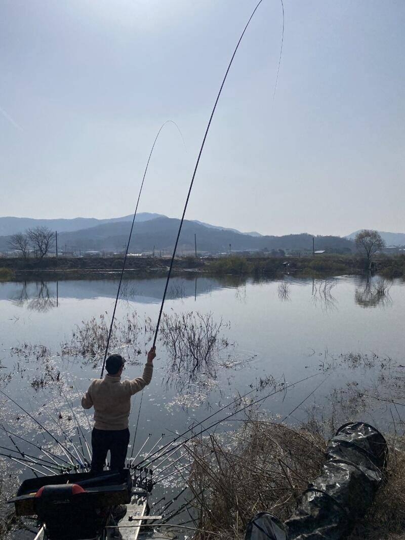 노지 4짜 고삼지생새우 판매중 (조황조행기 - 특파원조황)