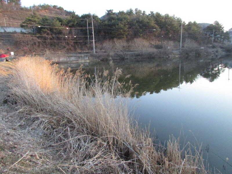 3월 4째주 조황입니다 (조황조행기 - 특파원조황)