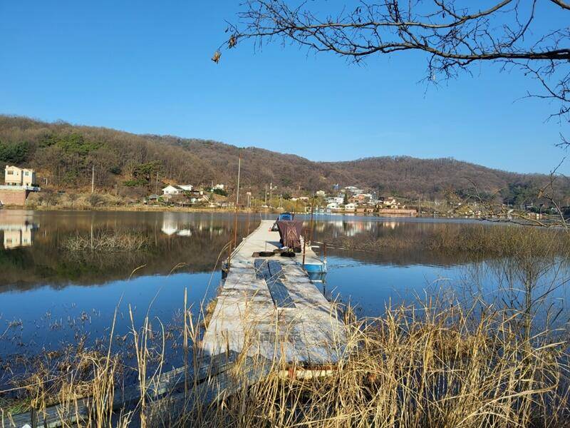 본격적으로 시작된 두창지 (조황조행기 - 특파원조황)