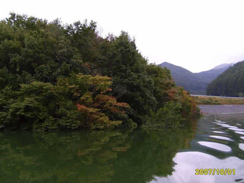 충주호 10월 첫날에 36cm월척으로 시작을 합니다 (조황조행기 - 특파원조황)