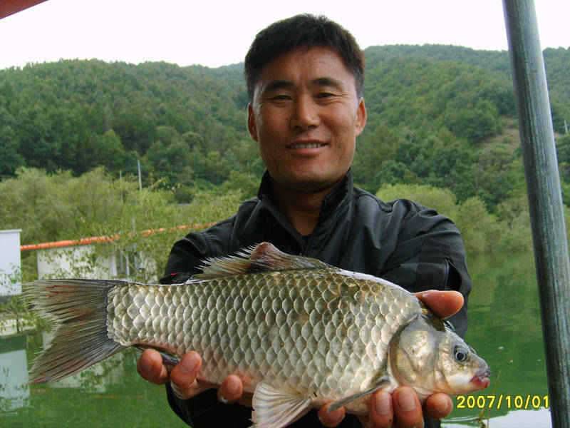 충주호 10월 첫날에 36cm월척으로 시작을 합니다 (조황조행기 - 특파원조황)