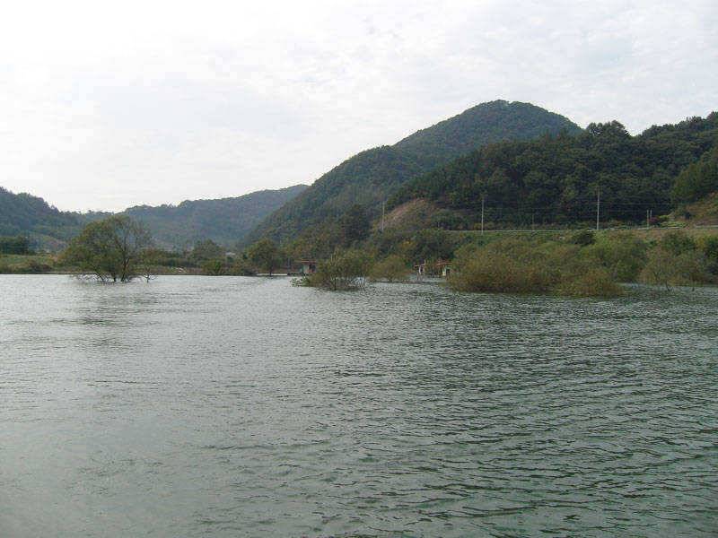 충주호 붕어 장어조황 소식입니다 (조황조행기 - 특파원조황)
