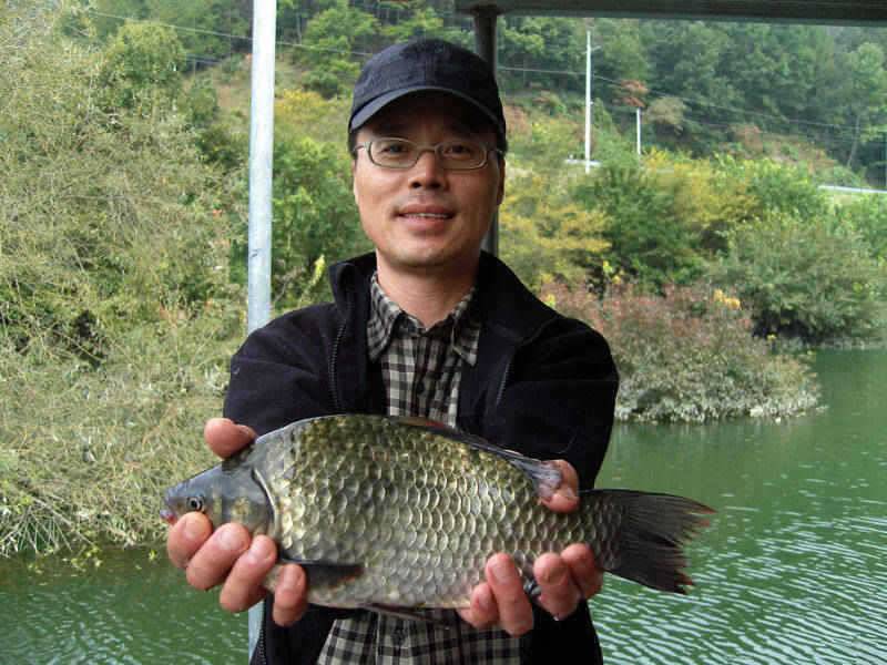 충주호 4자 대물붕어의 모습과 멋진 가을풍경 (조황조행기 - 특파원조황)