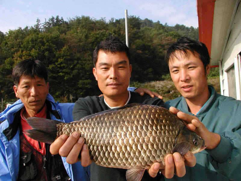 충주호 4자 대물붕어의 모습과 멋진 가을풍경 (조황조행기 - 특파원조황)
