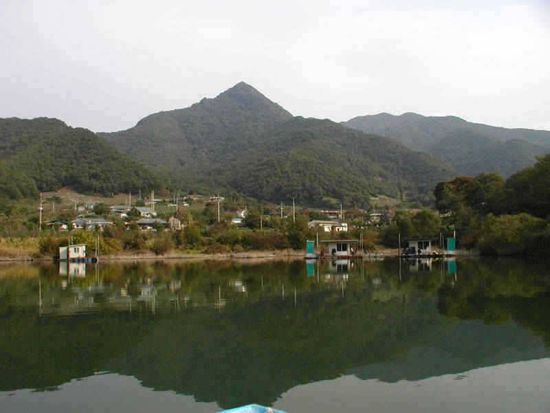 충주호 4자 대물붕어 대물잉어 쏘가리모습입니다 (조황조행기 - 특파원조황)
