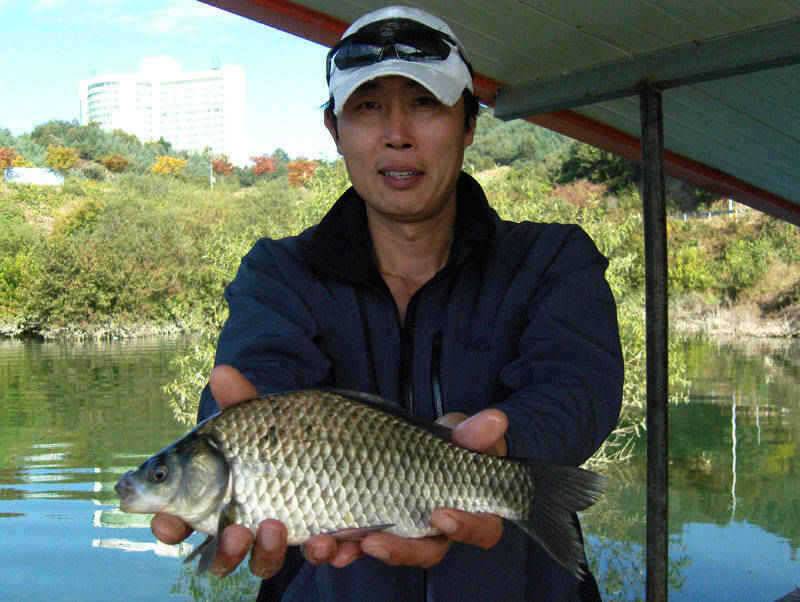 충주호 4자 대물붕어 대물잉어 쏘가리모습입니다 (조황조행기 - 특파원조황)