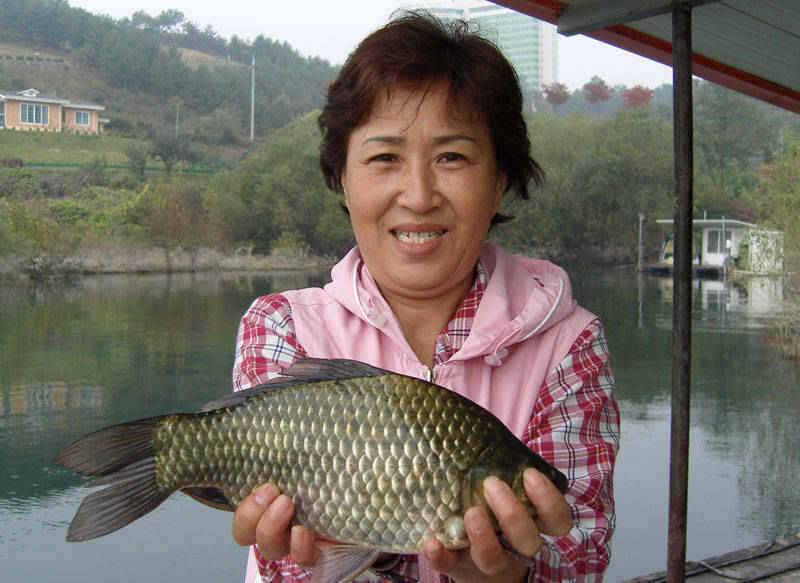 충주호 깊어가는 가을에 토실한 월척붕어를 만나봐요 (조황조행기 - 특파원조황)