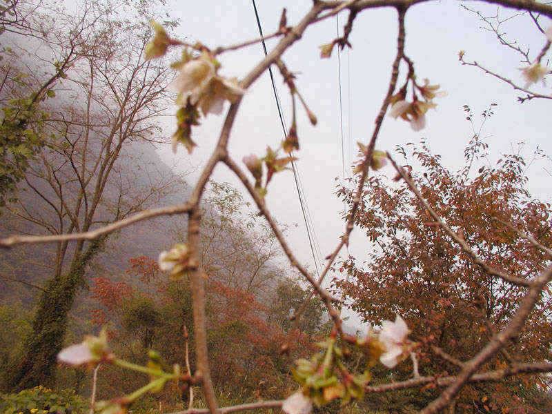 충주호 깊어가는 가을에 토실한 월척붕어를 만나봐요 (조황조행기 - 특파원조황)
