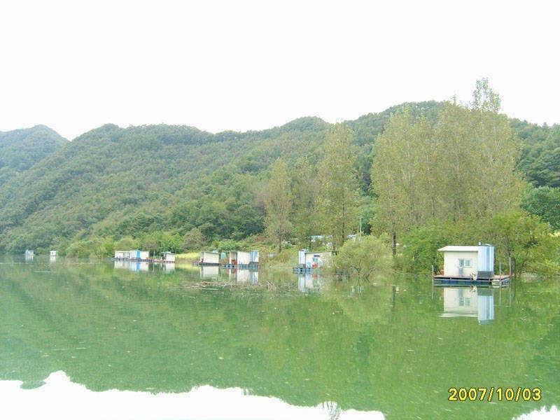 충주호 붕어 장어조황 소식입니다 (조황조행기 - 특파원조황)