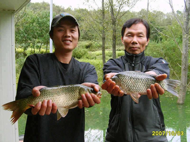 충주호 붕어 장어조황 소식입니다 (조황조행기 - 특파원조황)