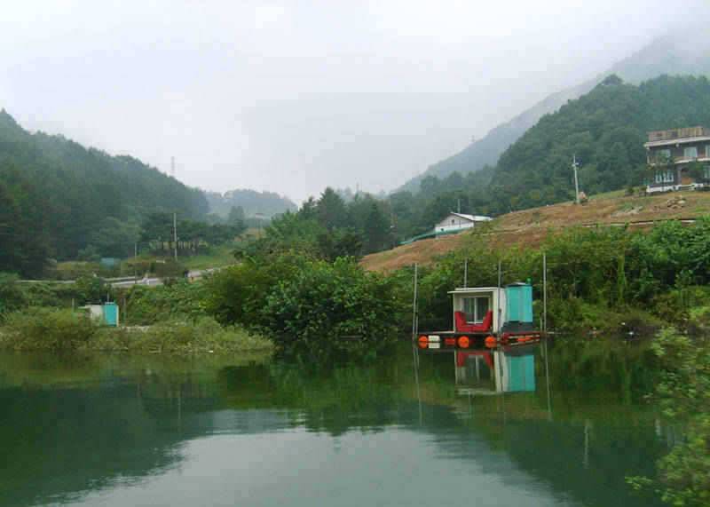 충주호 붕어 장어조황 소식입니다 (조황조행기 - 특파원조황)