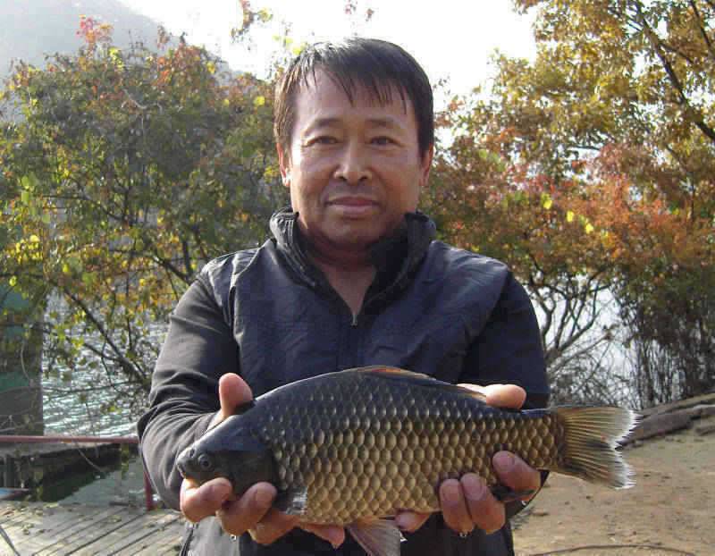 충주호 하천낚시터의 월척소식입니다 (조황조행기 - 특파원조황)