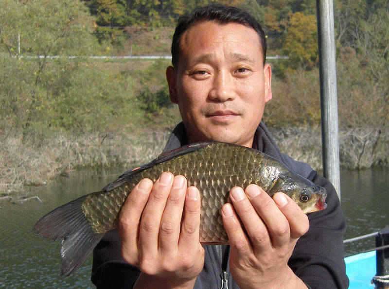충주호 하천낚시터의 월척소식입니다 (조황조행기 - 특파원조황)