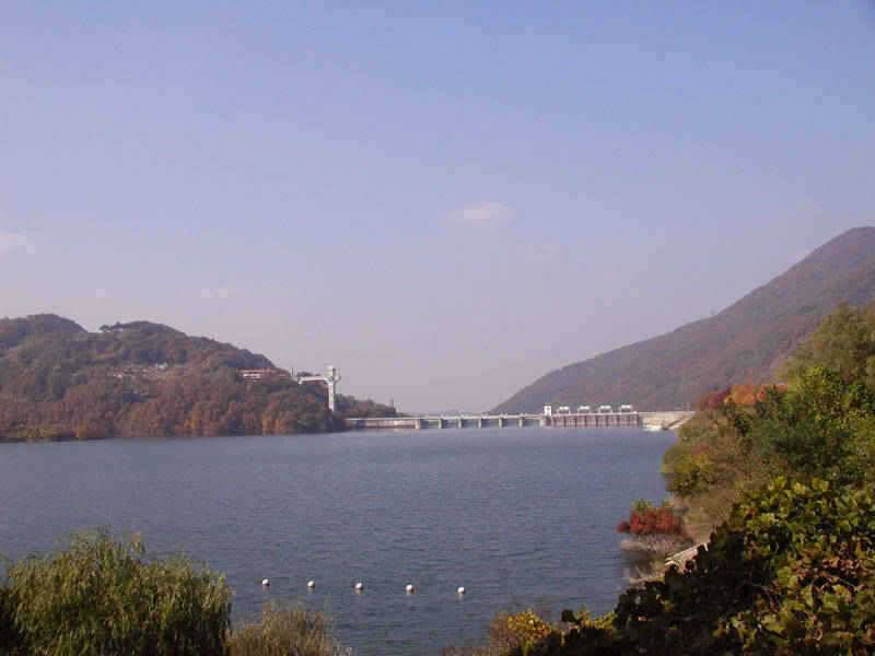 충주호 하천낚시터의 월척소식입니다 (조황조행기 - 특파원조황)