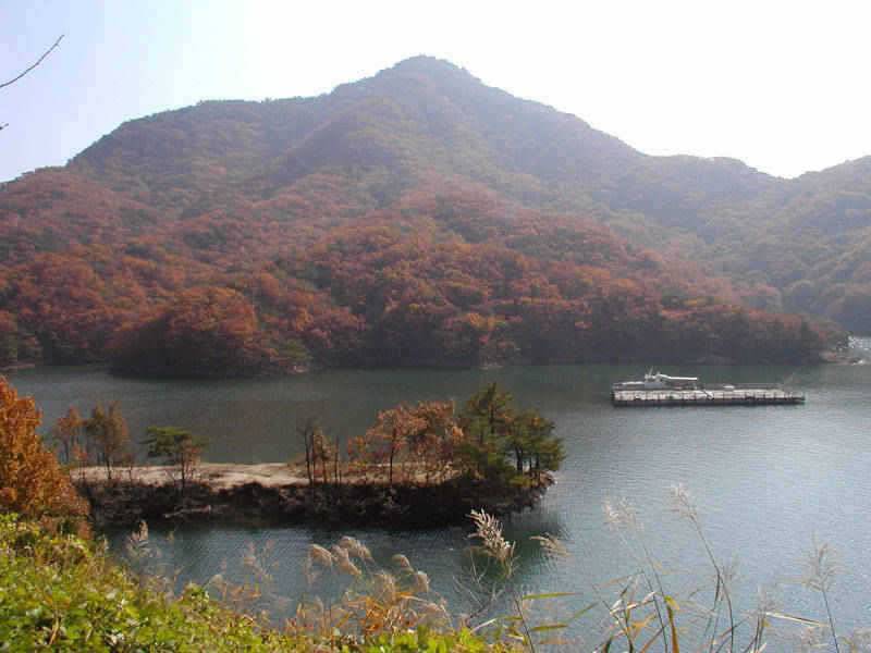 충주호 하천낚시터의 월척소식입니다 (조황조행기 - 특파원조황)