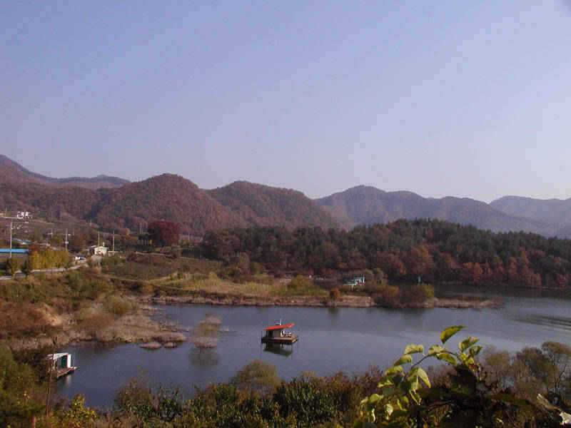 충주호 하천낚시터의 월척소식입니다 (조황조행기 - 특파원조황)
