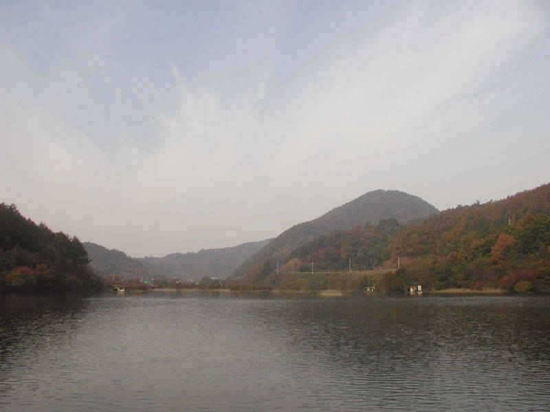 만추의 모습을 보이고있는 충주호 소식입니다 (조황조행기 - 특파원조황)