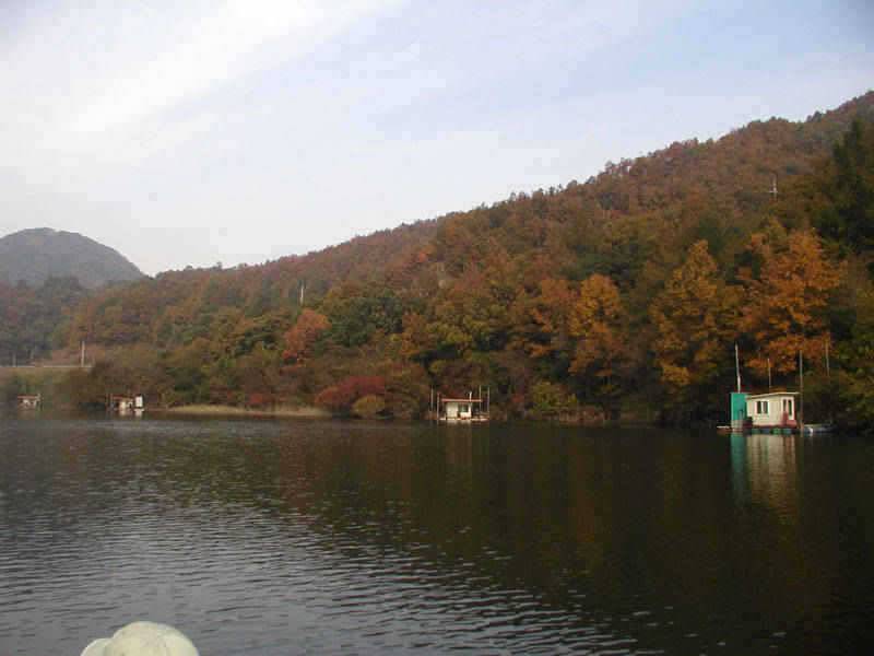 만추의 모습을 보이고있는 충주호 소식입니다 (조황조행기 - 특파원조황)