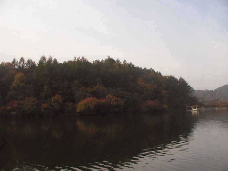 만추의 모습을 보이고있는 충주호 소식입니다 (조황조행기 - 특파원조황)