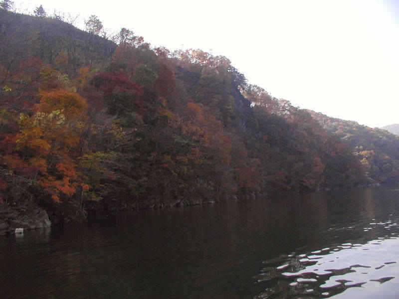 만추의 모습을 보이고있는 충주호 소식입니다 (조황조행기 - 특파원조황)
