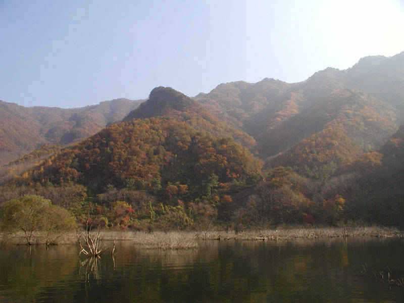 만추의 모습을 보이고있는 충주호 소식입니다 (조황조행기 - 특파원조황)