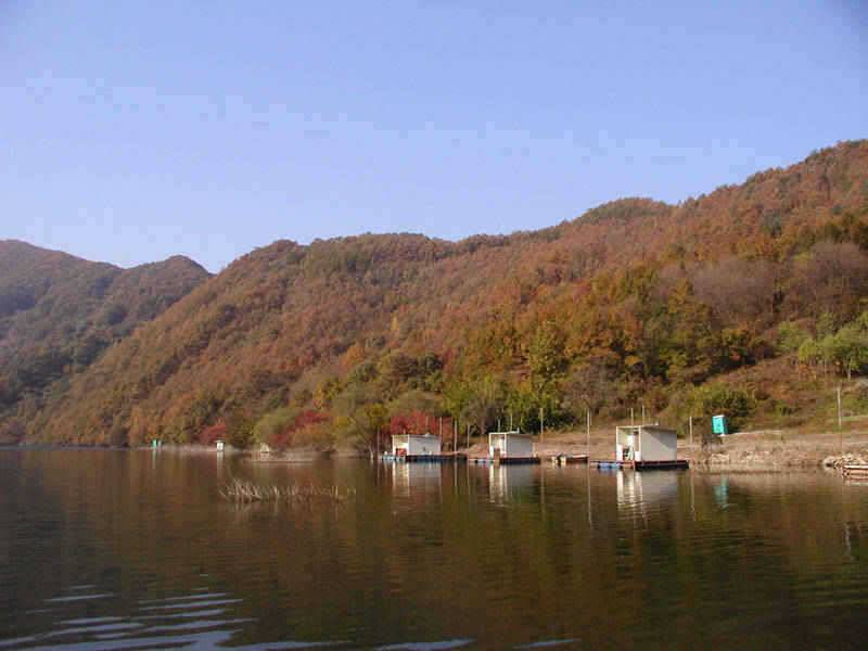 만추의 모습을 보이고있는 충주호 소식입니다 (조황조행기 - 특파원조황)