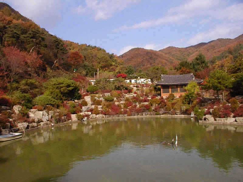 충주호 11월 52399째 주말조황 소식입니다 (조황조행기 - 특파원조황)
