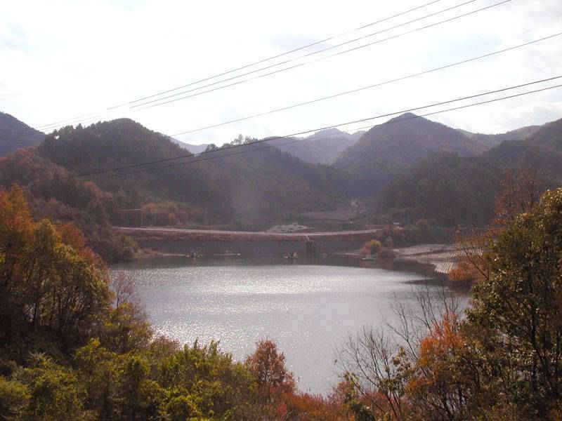 충주호 11월 52399째 주말조황 소식입니다 (조황조행기 - 특파원조황)