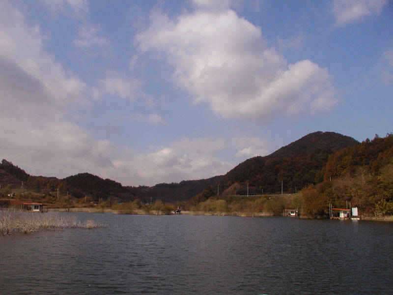 충주호 11월 52399째 주말조황 소식입니다 (조황조행기 - 특파원조황)