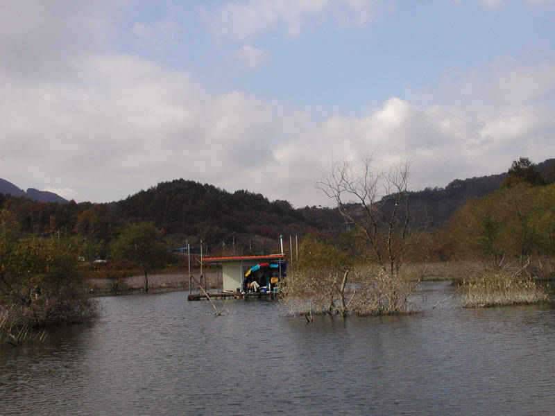 충주호 11월 52399째 주말조황 소식입니다 (조황조행기 - 특파원조황)