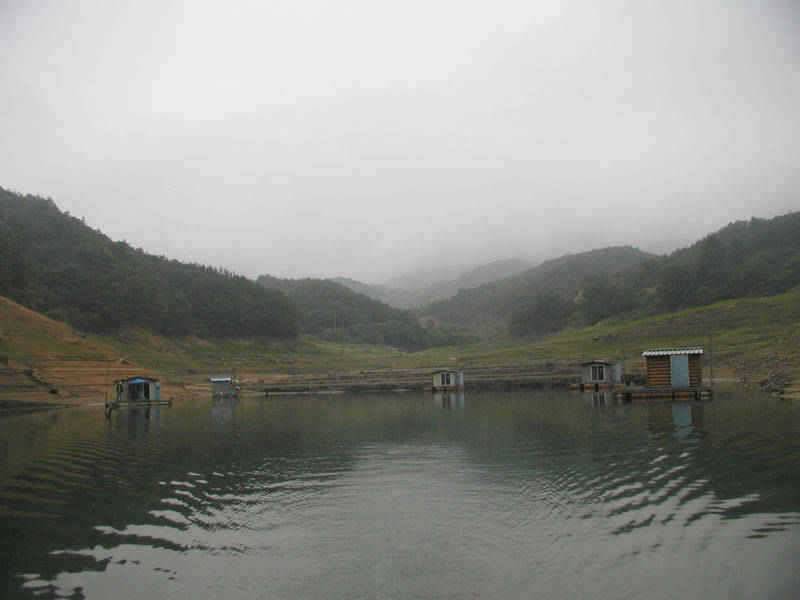 충주호 아직은 내림수위 그러나 붕어의 입질은 이어지고 (조황조행기 - 특파원조황)