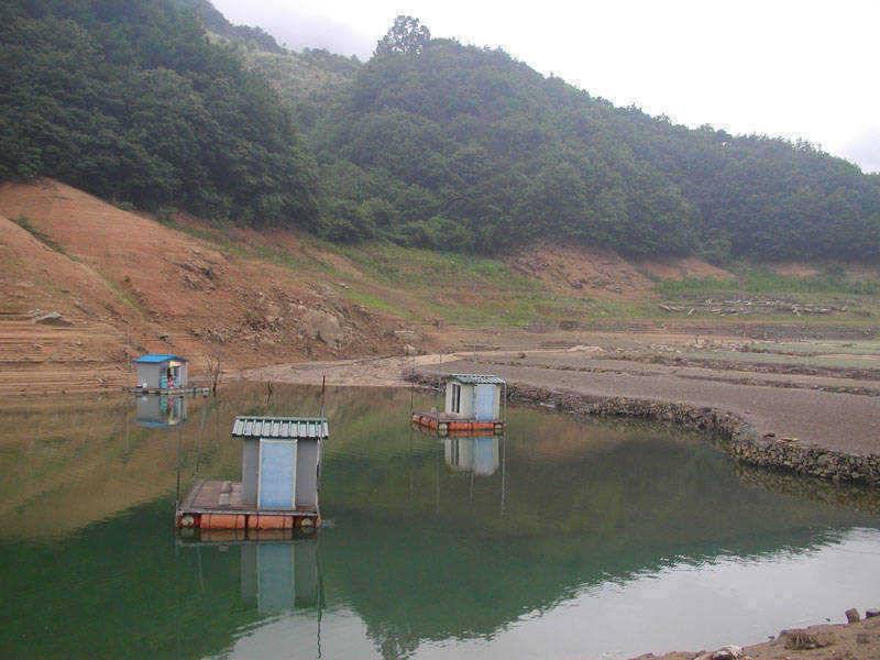 충주호 아직은 내림수위 그러나 붕어의 입질은 이어지고 (조황조행기 - 특파원조황)