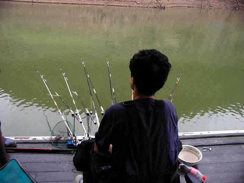 충주호 아직은 내림수위 그러나 붕어의 입질은 이어지고 (조황조행기 - 특파원조황)