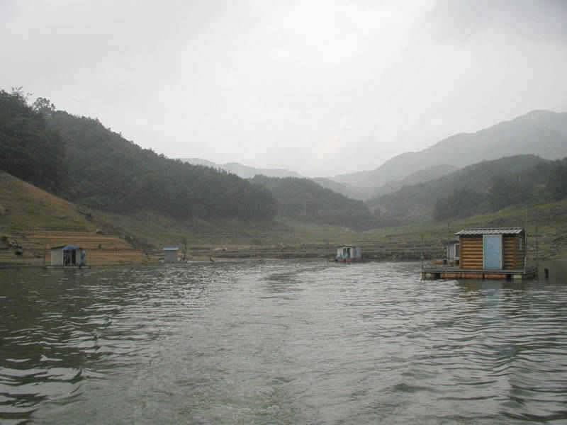 충주호 장마비에 새물유입되며 마릿수 조황을 (조황조행기 - 특파원조황)