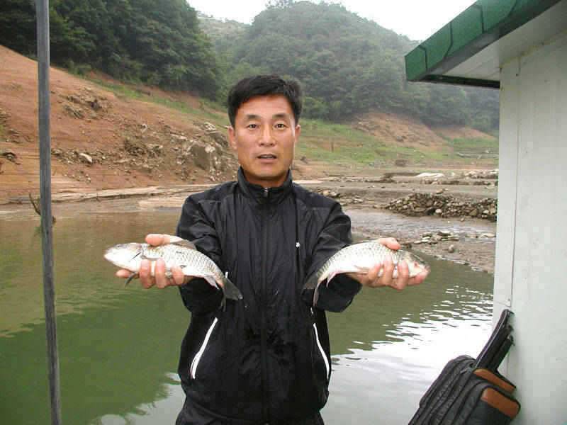 충주호 장마비에 새물유입되며 마릿수 조황을 (조황조행기 - 특파원조황)