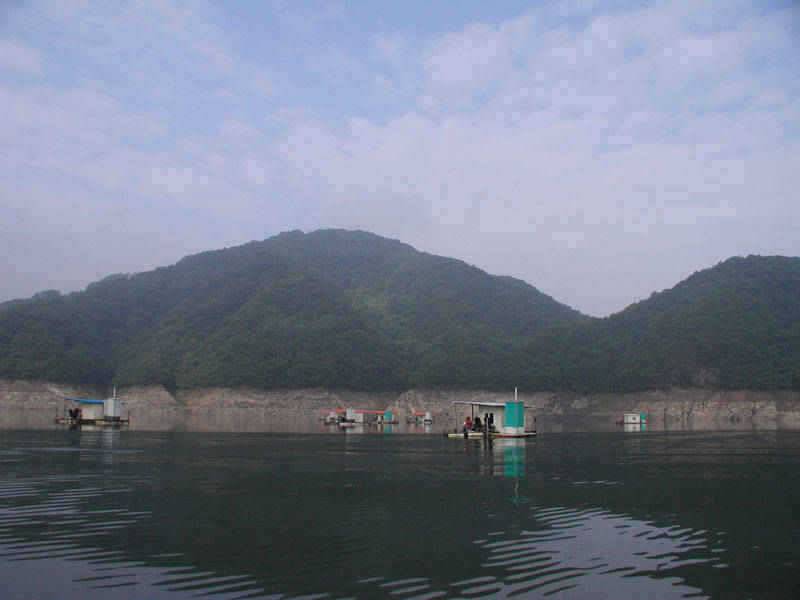 충주호 오름수위속에 마릿수 조황을 보이는 하천낚시터 (조황조행기 - 특파원조황)