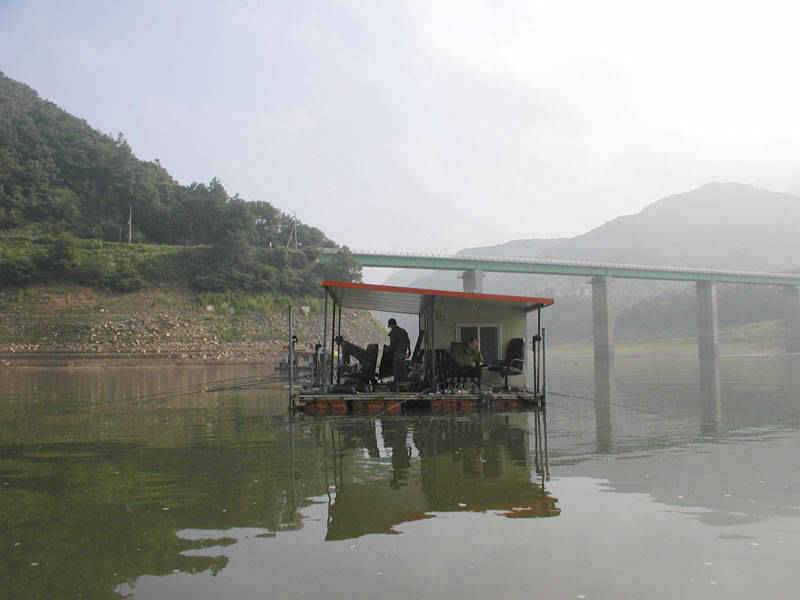 충주호 오름수위속에 마릿수 조황을 보이는 하천낚시터 (조황조행기 - 특파원조황)
